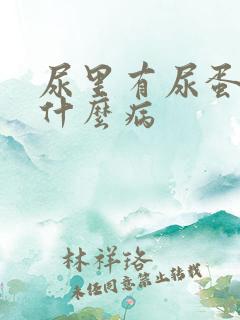 尿里有尿蛋白是什么病