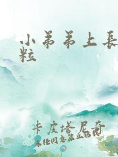 小弟弟上长有肉粒