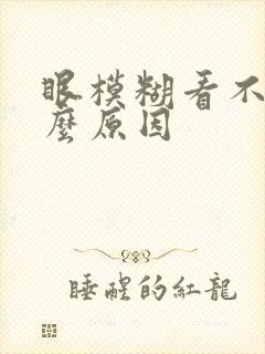 眼模糊看不清什么原因