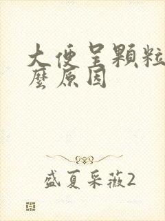 大便呈颗粒状什么原因