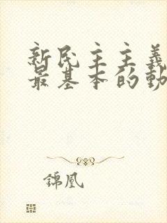 新民主主义革命最基本的动力是()