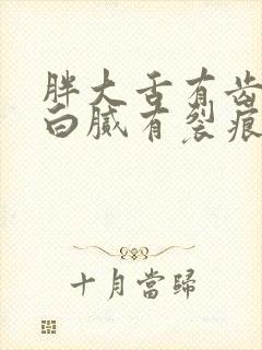 胖大舌有齿痕苔白腻有裂痕