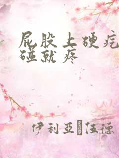 屁股上硬疙瘩一碰就疼