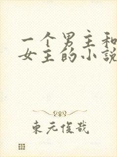 一个男主和多个女主的小说