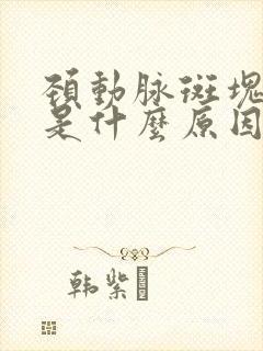 颈动脉斑块形成是什么原因引起的