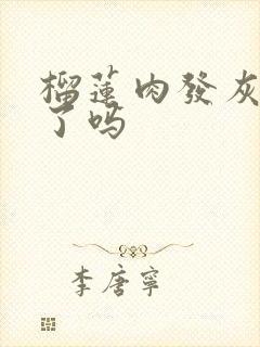 榴莲肉发灰是坏了吗