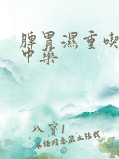 脾胃湿重吃什么中药