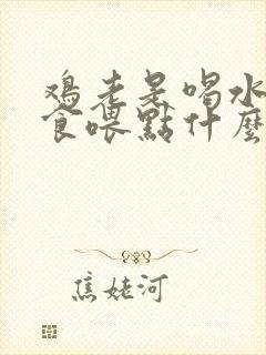 鸡老是喝水不吃食喂点什么药