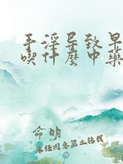 手淫导致早些泄吃什么中药调理