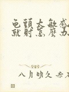 龟头太敏感进去就射怎么办