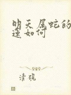 明天属蛇的人财运如何