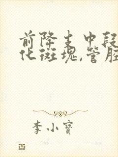 前降支中段非钙化斑块,管腔轻度狭窄