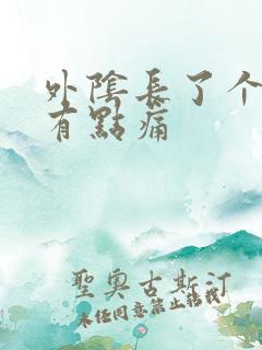 外阴长了个大痘有点痛