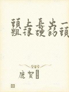 头上长出一根很粗很硬的头发