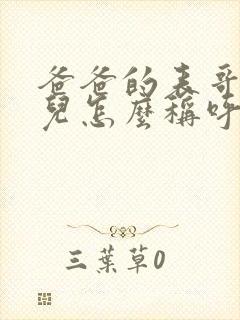 爸爸的表哥的女儿怎么称呼