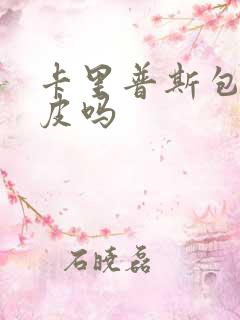 卡里普斯包是真皮吗