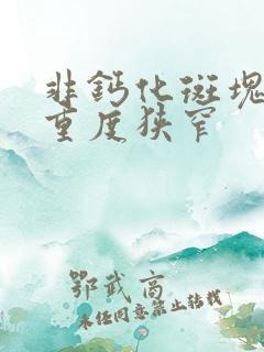 非钙化斑块管腔重度狭窄