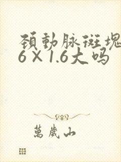 颈动脉斑块3.6×1.6大吗