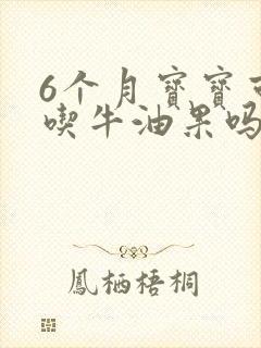 6个月宝宝可以吃牛油果吗