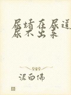 尿堵在尿道口了尿不出来