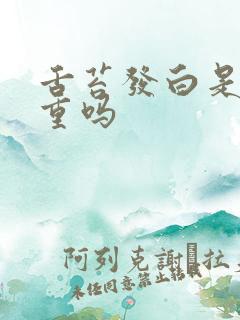 舌苔发白是湿气重吗