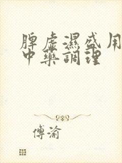 脾虚湿盛用什么中药调理