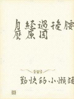 月经过后腰痛什么原因