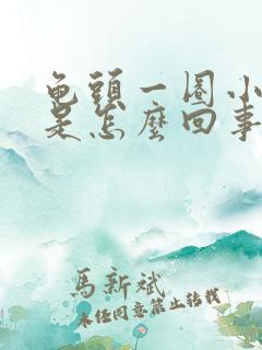 龟头一圈小水泡是怎么回事