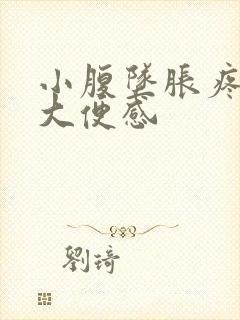 小腹坠胀疼痛有大便感