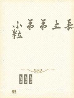 小弟弟上长小肉粒