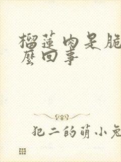 榴莲肉是脆的怎么回事