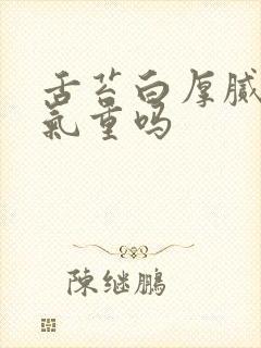 舌苔白厚腻是湿气重吗