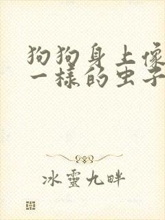 狗狗身上像芝麻一样的虫子是啥