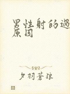 男性射的过快的原因