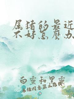 属猪的最近财运不好怎么办