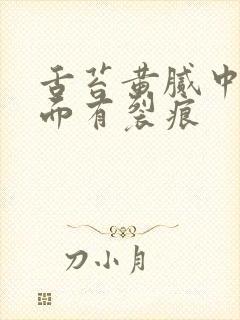 舌苔黄腻中间前面有裂痕