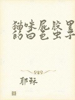 猫咪屁股里爬出的白色虫子是什么