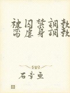 被囚禁调教成禁脔虐身调教双男主