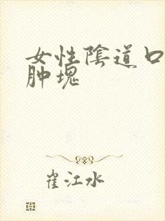 女性阴道口内有肿块