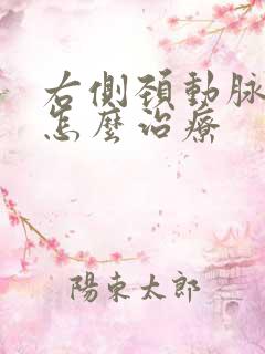 右侧颈动脉斑块怎么治疗