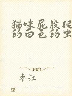 猫咪屁股爬出来的白色的虫子