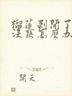 榴莲剥开了发现没熟怎么办