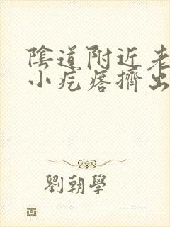 阴道附近老是有小疙瘩挤出来白色颗粒