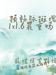 颈动脉斑块9.1x1.6严重吗