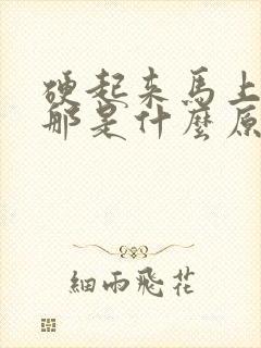 硬起来马上软掉那是什么原因