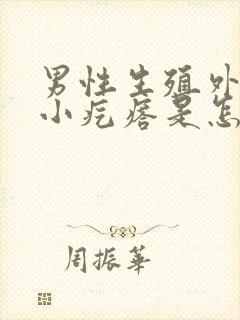 男性生殖外皮有小疙瘩是怎么回事?