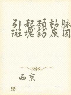 引起颈动脉血管斑块的原因