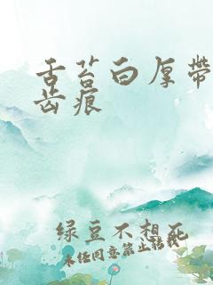 舌苔白厚带腻有齿痕