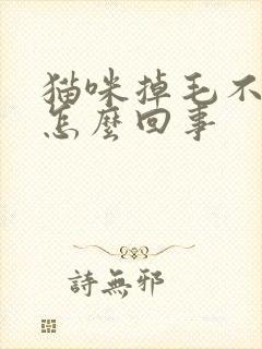 猫咪掉毛不吃饭怎么回事