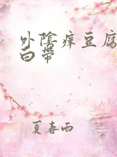 外阴痒豆腐渣状白带